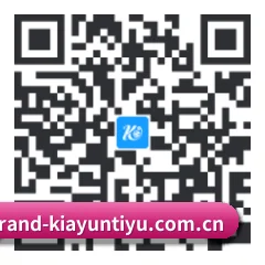 HarmonyOS NEXT 适配版 二维码